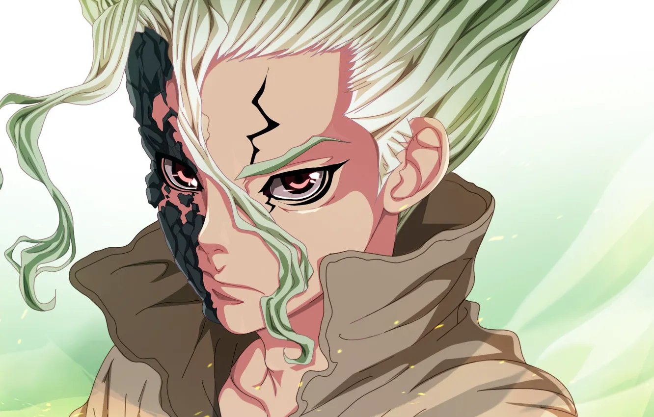 Photo wallpaper guy, scar, Senku Ishigami, Dr. Stone