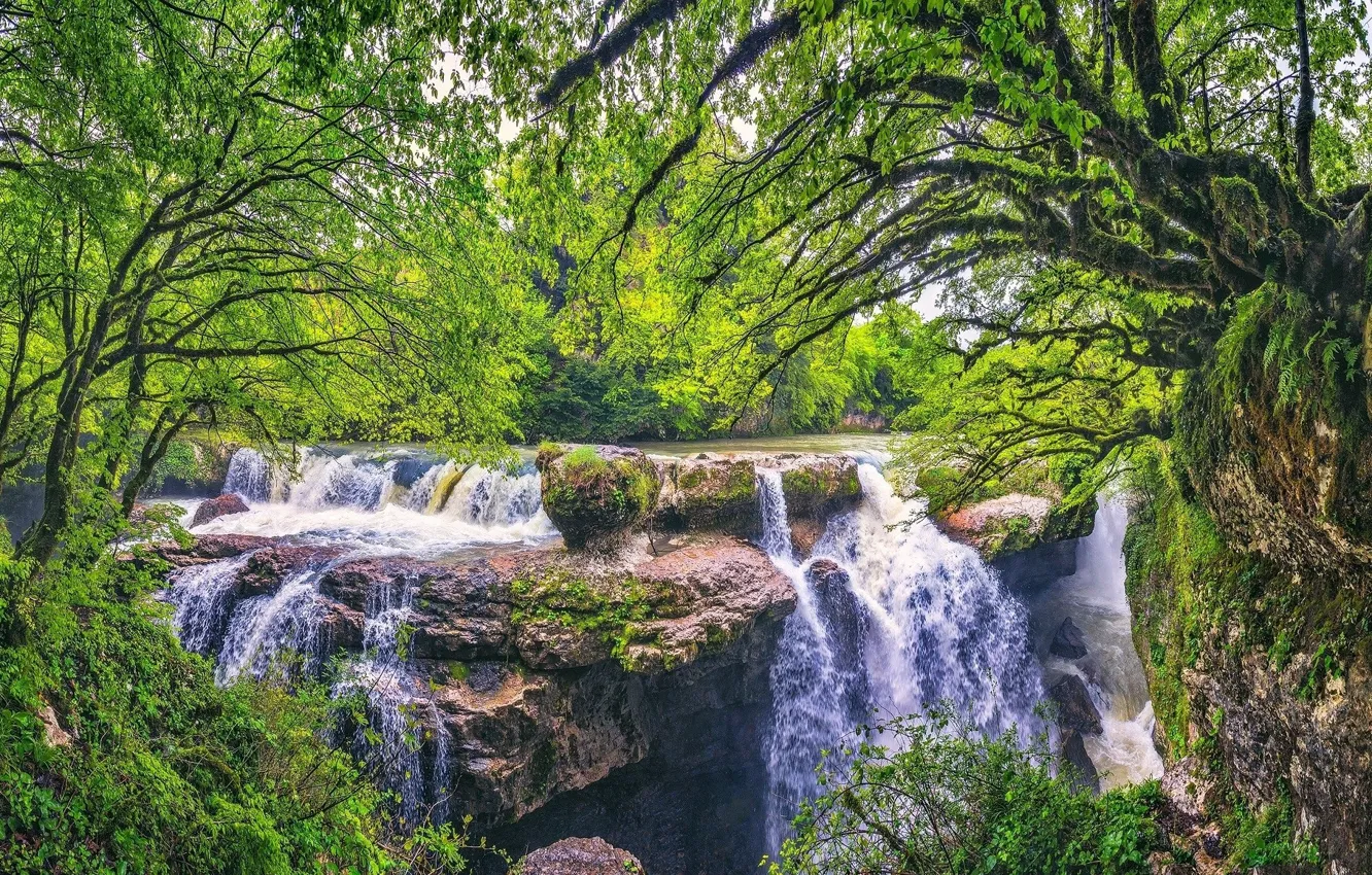 Photo wallpaper greens, forest, waterfall