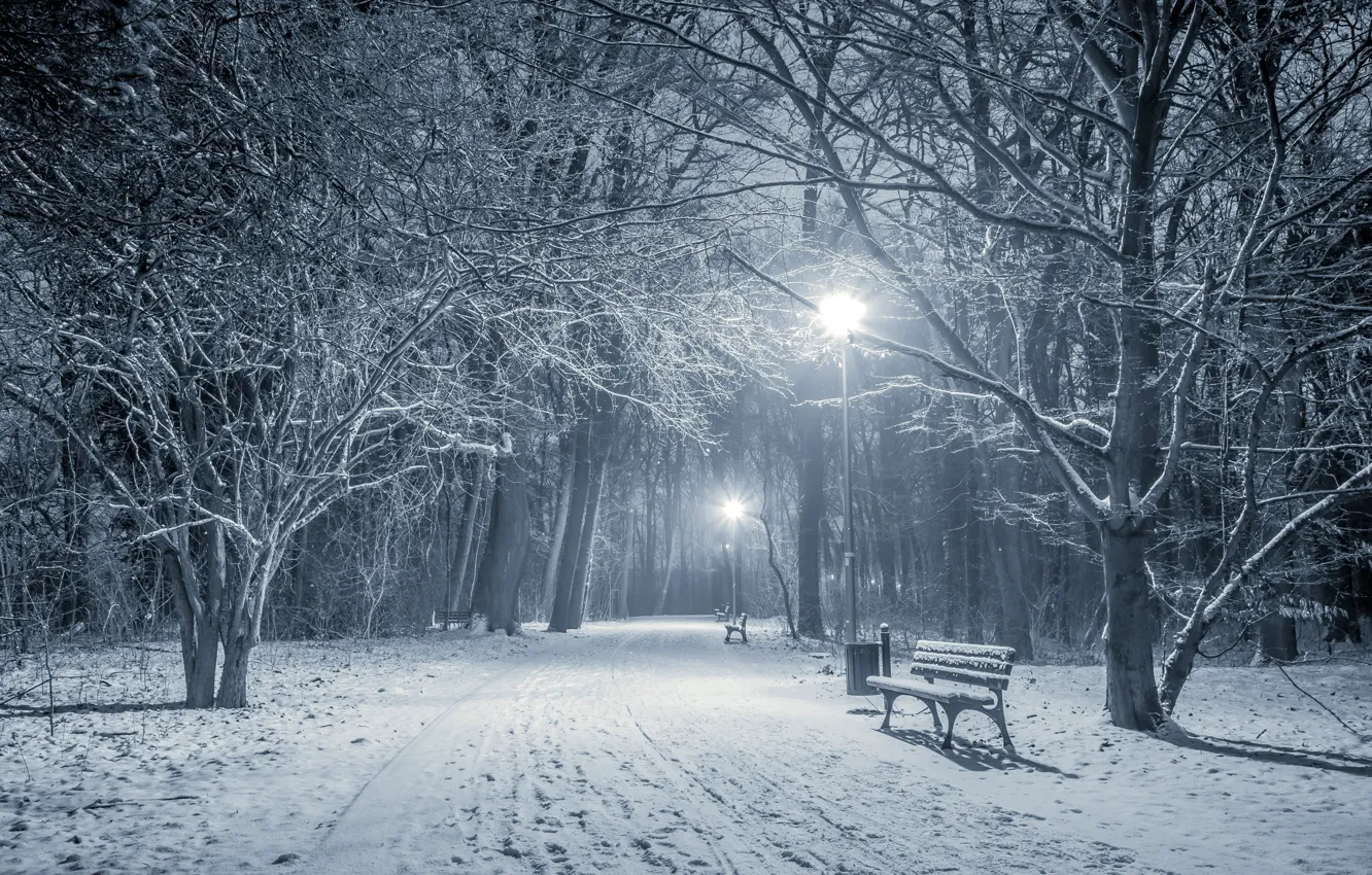 Photo wallpaper winter, snow, trees, landscape, bench, lights, Park, lights