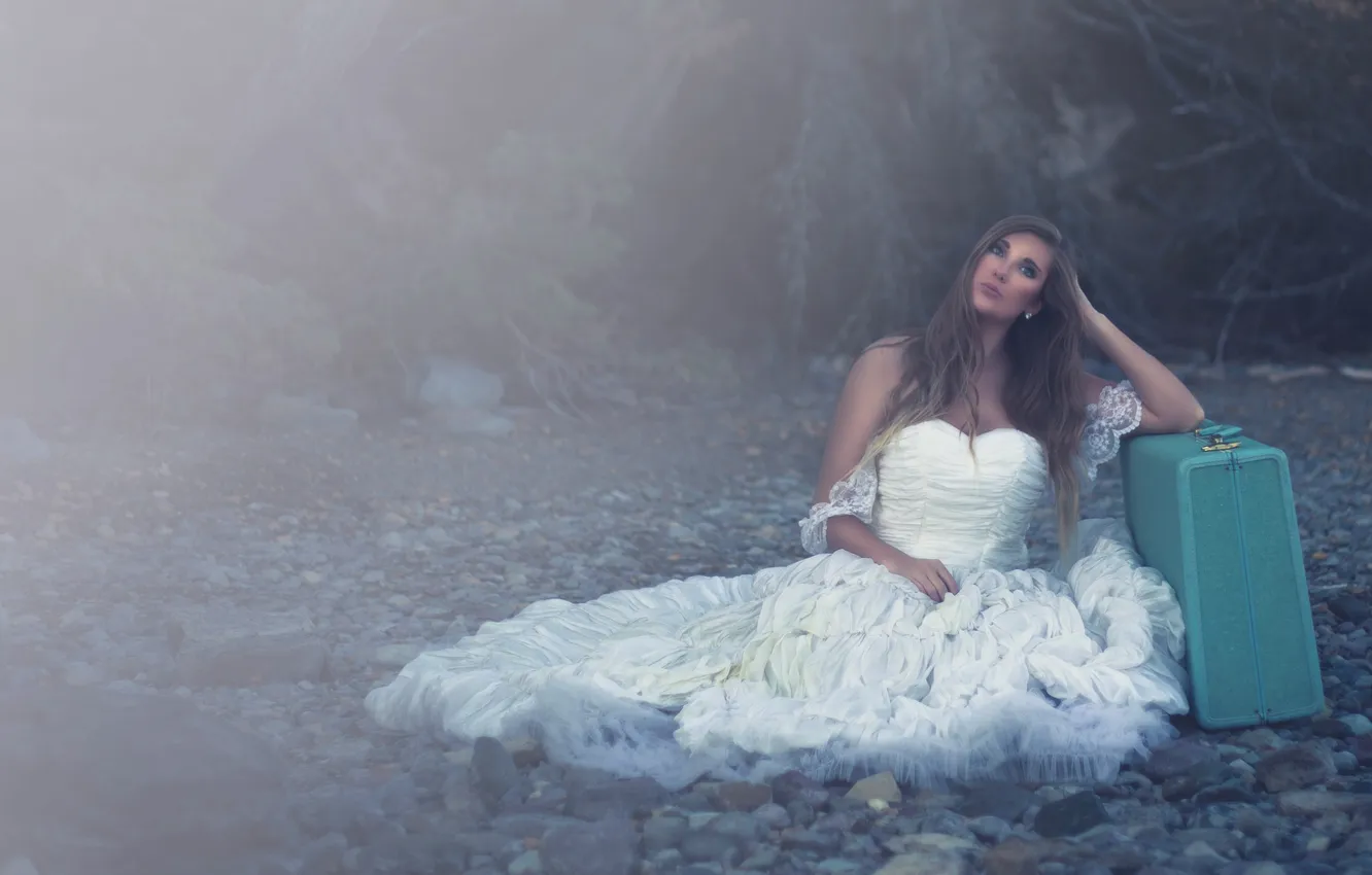 Photo wallpaper girl, mood, suitcase