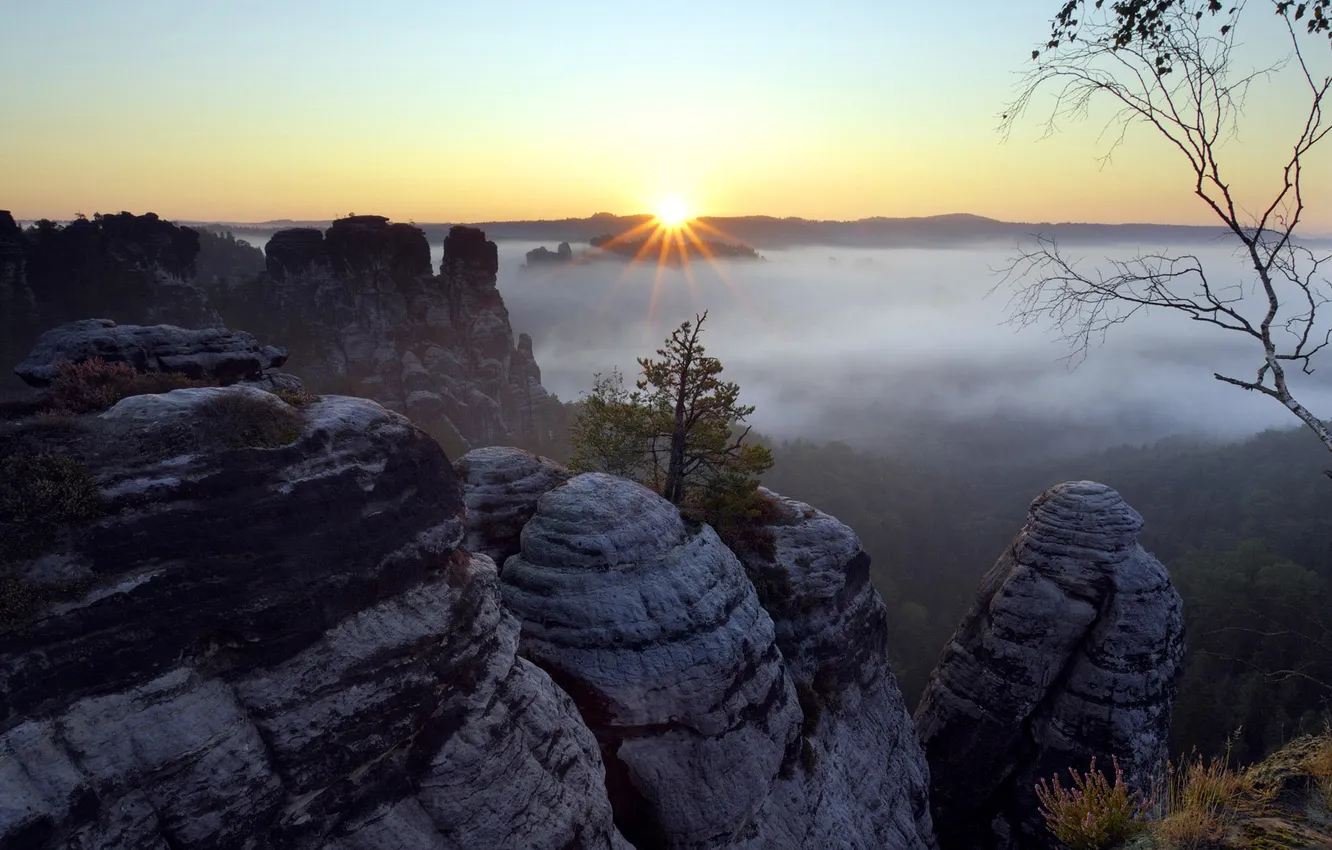 Photo wallpaper the sun, rays, trees, landscape, mountains, nature, fog, photo
