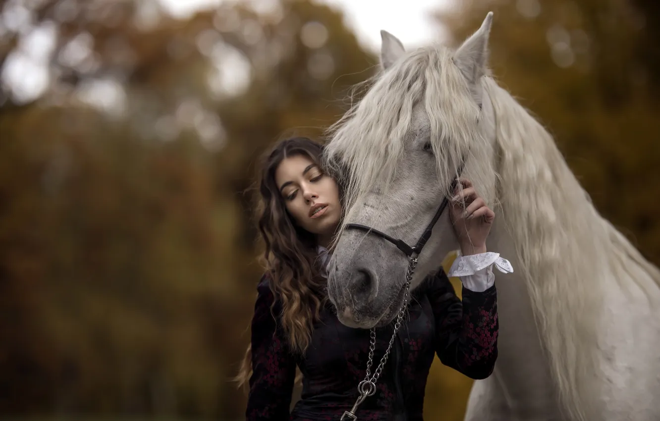 Photo wallpaper girl, background, horse