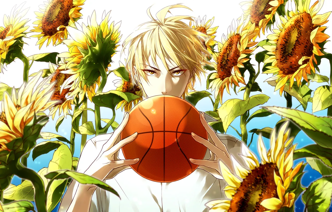 Photo wallpaper look, sunflowers, the ball, guy, Kuroko From Basket, Kuroko's basketball, Ryouta, solar flare