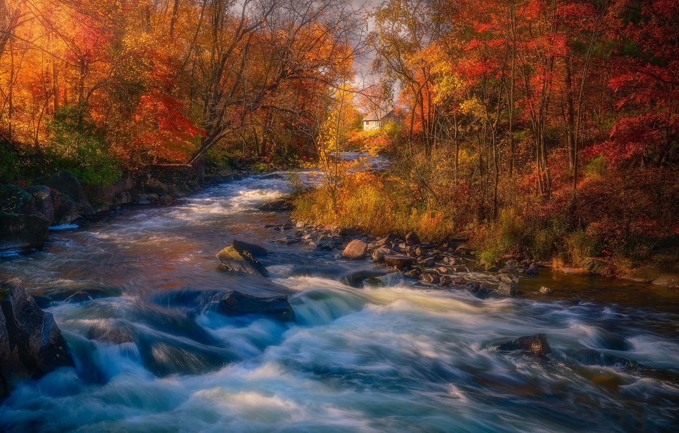 Photo wallpaper autumn, forest, trees, river, Canada, Ontario, thresholds