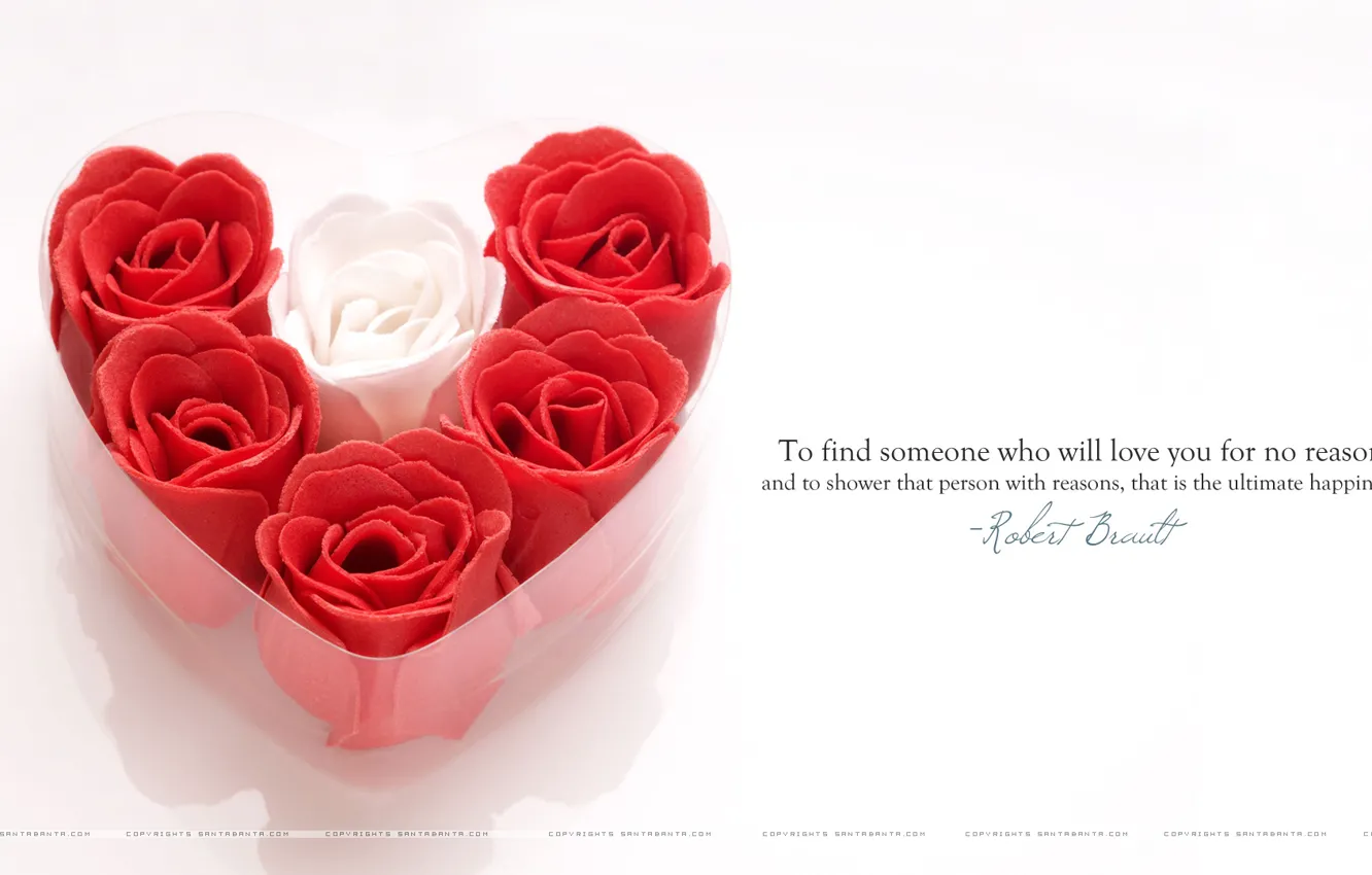 Photo wallpaper love, heart, roses, Valentine's day