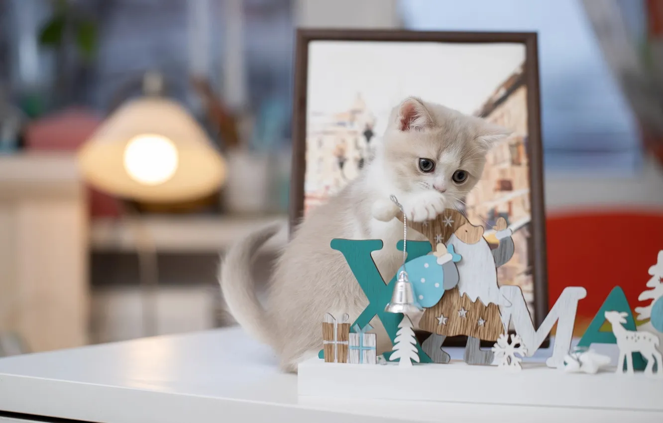 Photo wallpaper baby, Christmas, kitty, Svetlana Pisareva