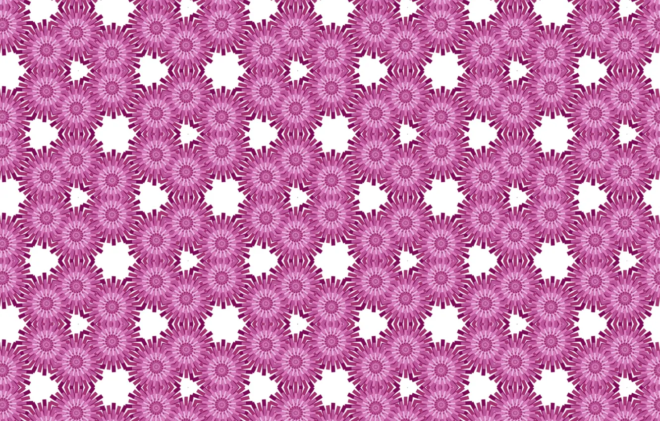 Photo wallpaper purple, flowers, texture, chrysanthemum