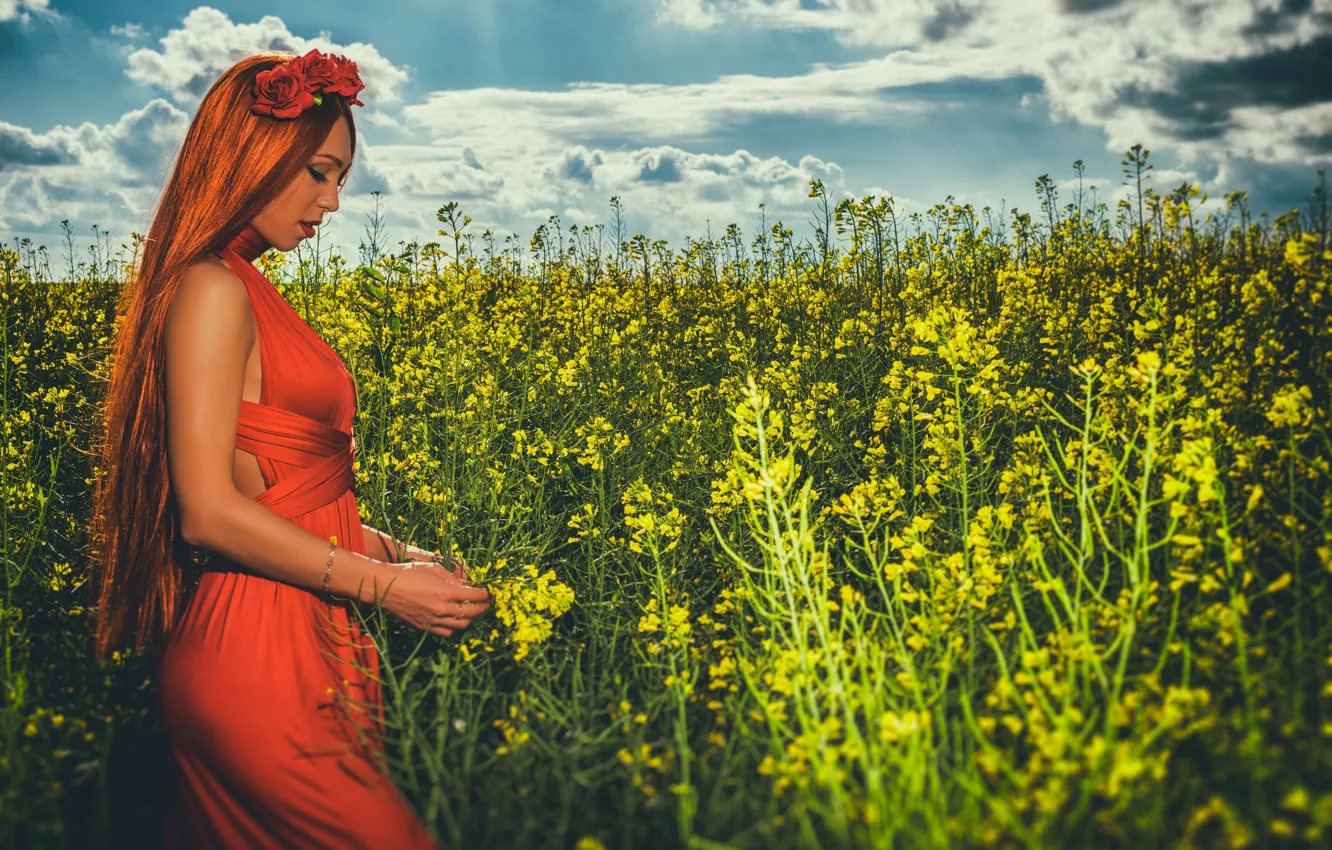 Photo wallpaper field, summer, girl, dress, red, redhead, long hair, rape