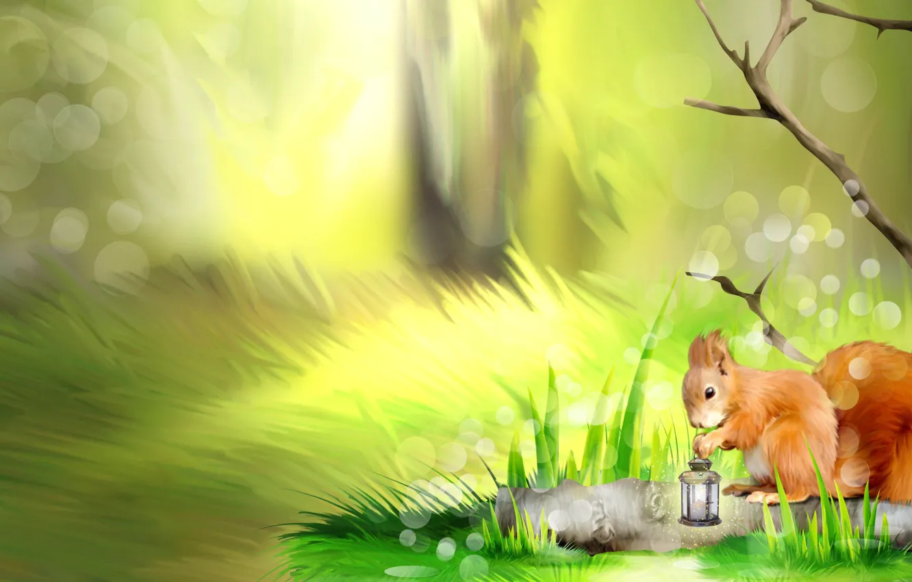 Photo wallpaper forest, summer, art, squirrel