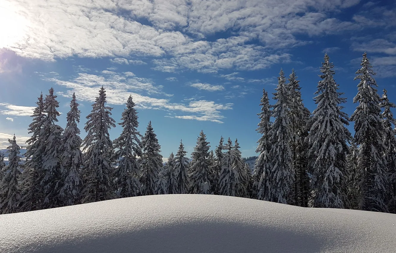 Photo wallpaper winter, forest, the sky, snow, France, ate, the snow