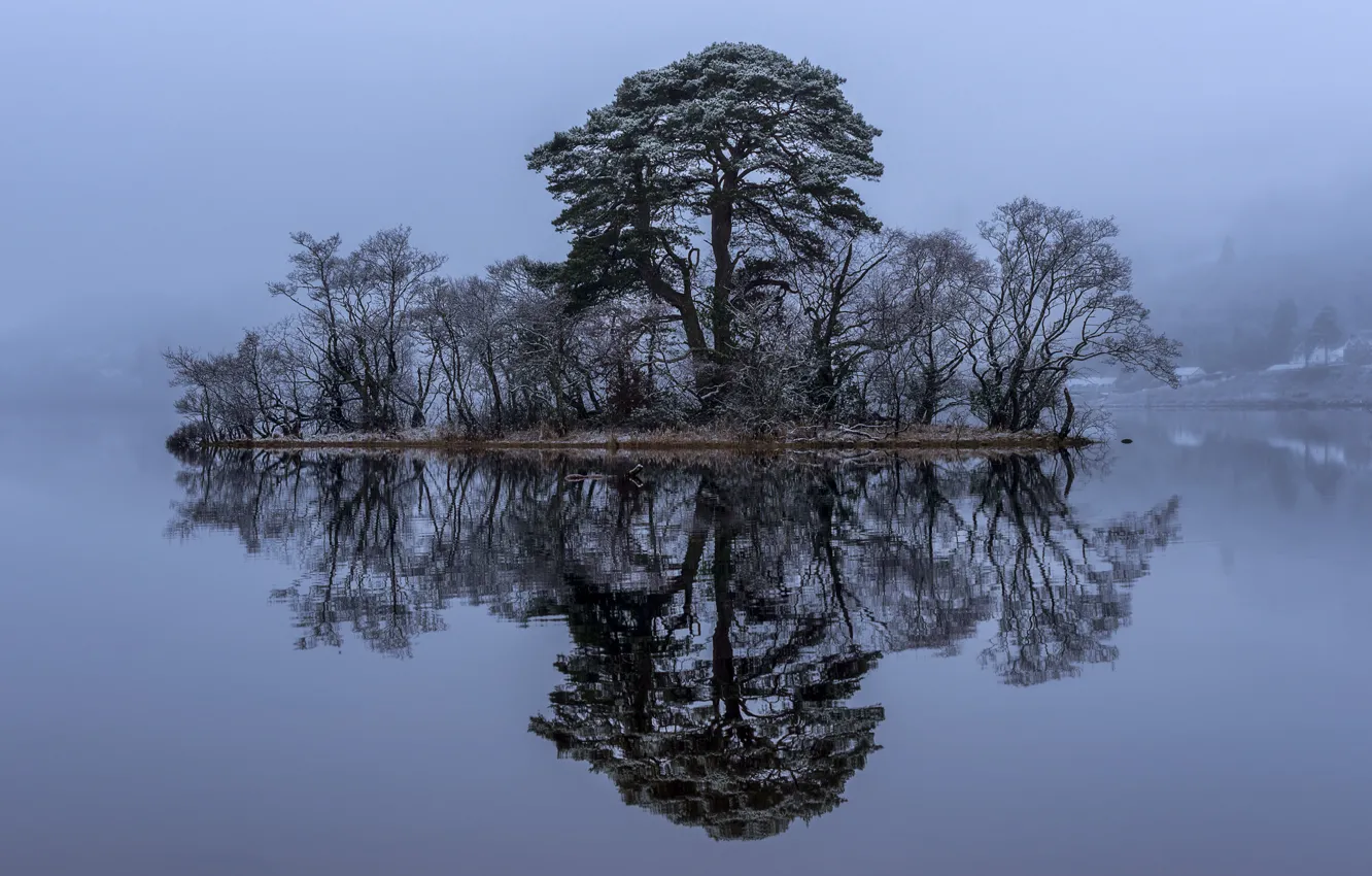 Photo wallpaper trees, lake, reflection, Scotland, island, Scotland, Loch Awe, Loch Awe