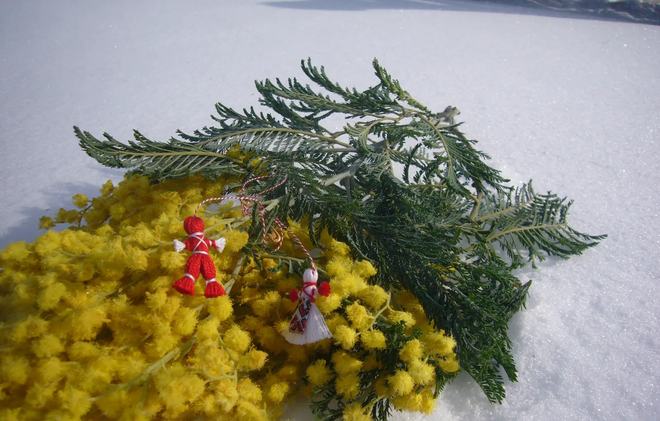 Photo wallpaper winter, snow, Mimosa, March, Martisor