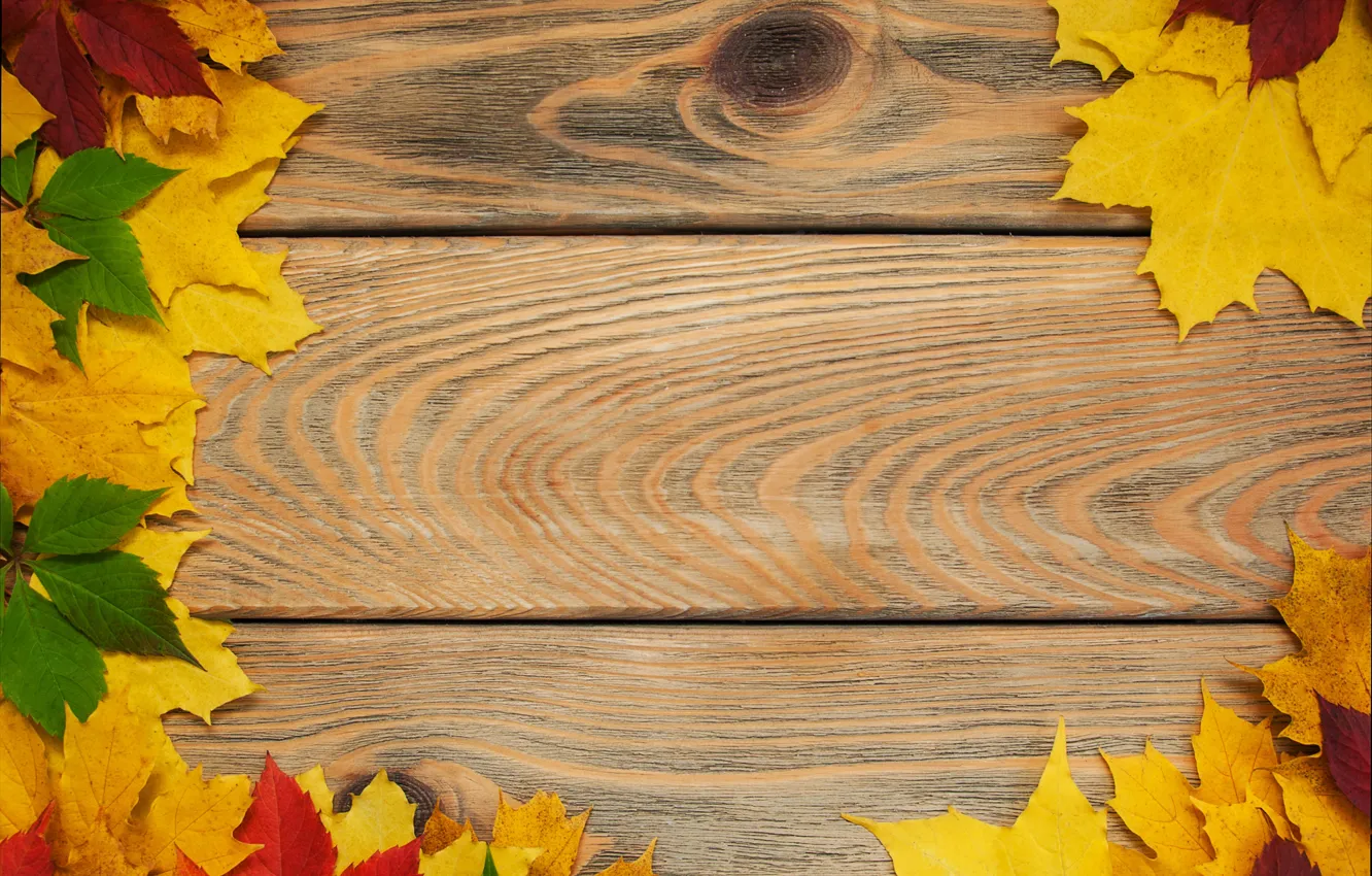 Photo wallpaper autumn, leaves, background, Board, colorful, maple, wood, autumn