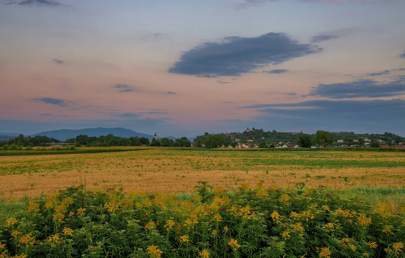 Photo wallpaper field, the sky, grass, clouds, village, space, Church, house