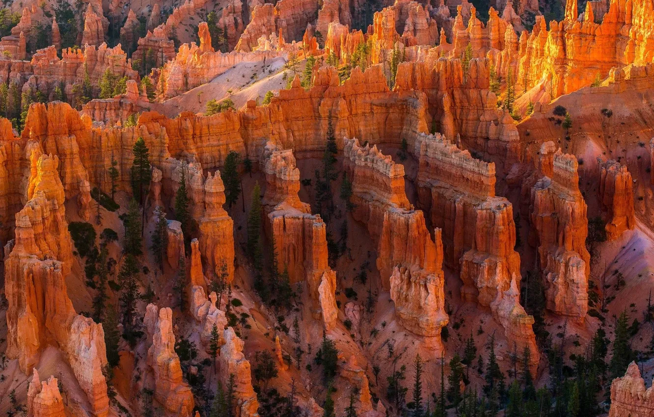 Photo wallpaper landscape, mountains, nature, tree, beauty