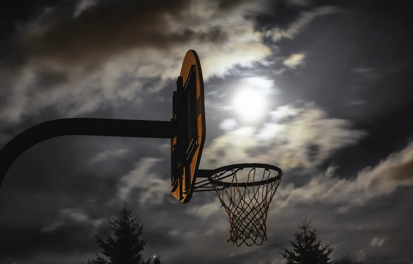 Photo wallpaper sport, ring, shield