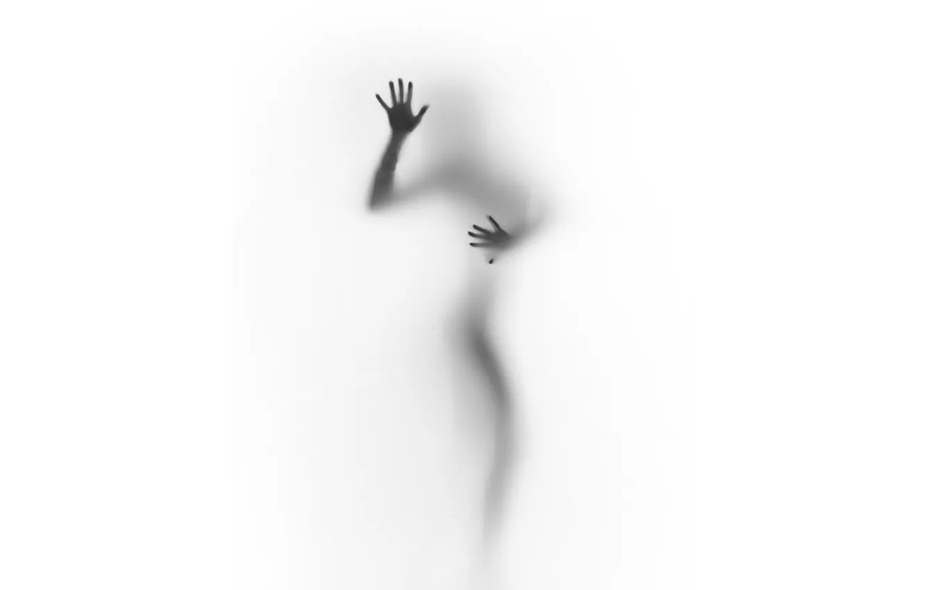Photo wallpaper white, girl, background, Silhouette