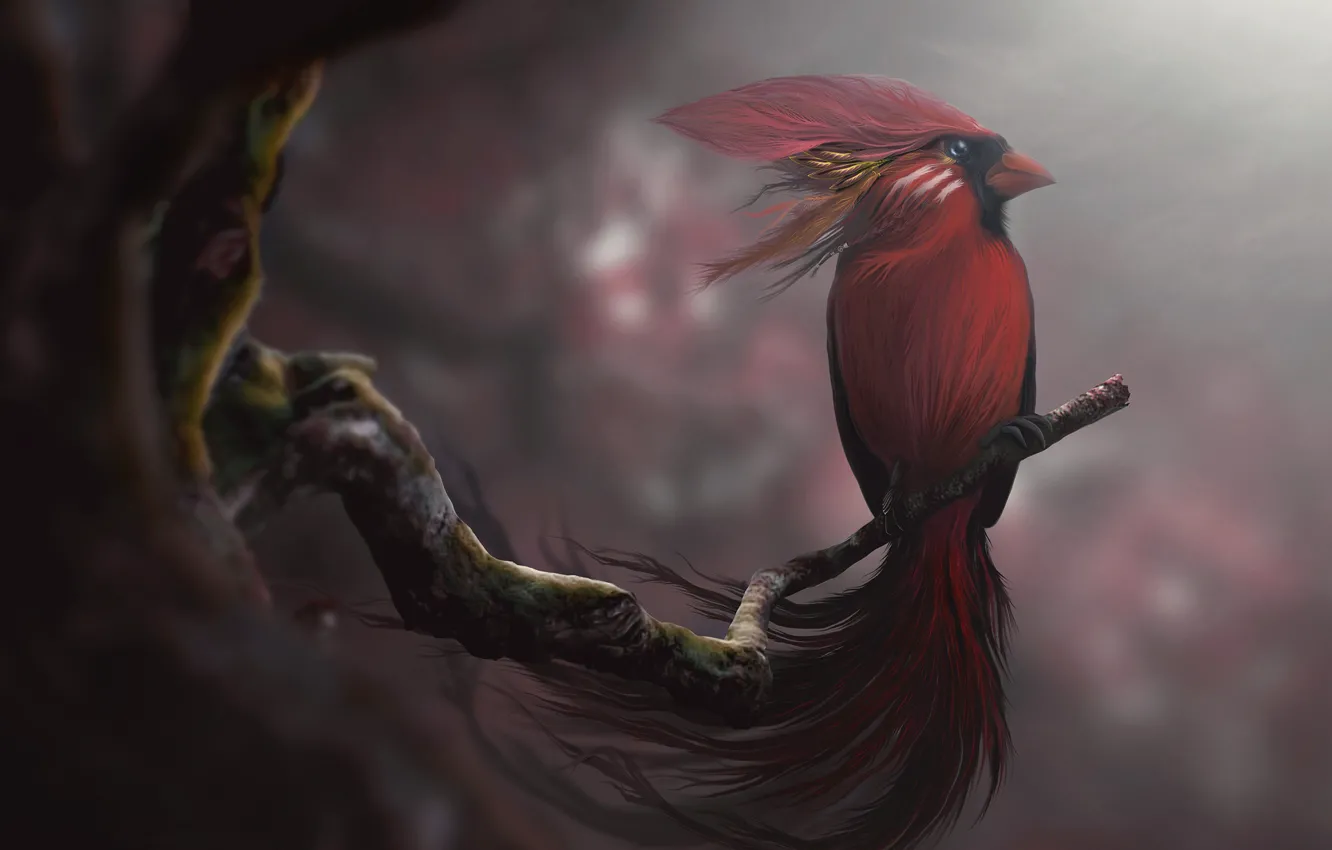 Photo wallpaper red, art, desktopography, spirit bird