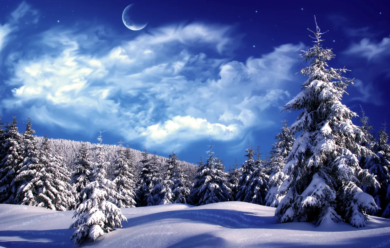 Photo wallpaper winter, clouds, snow, tree