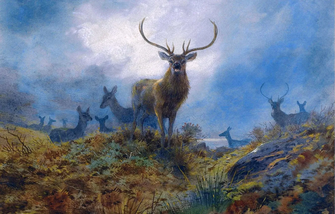 Photo wallpaper Picture, Horns, Deer, Archibald Thorburn, Archibald Thorburn,, Scottish painter, Last chance before dark