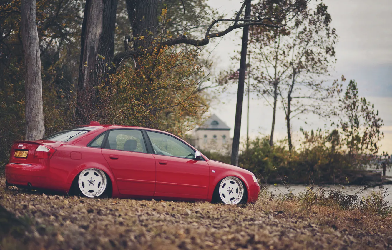 Photo wallpaper autumn, leaves, trees, Audi, Audi