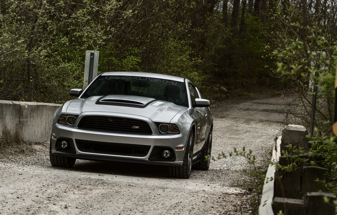 Photo wallpaper road, forest, trees, mustang, ford, gravel, roush, 2013