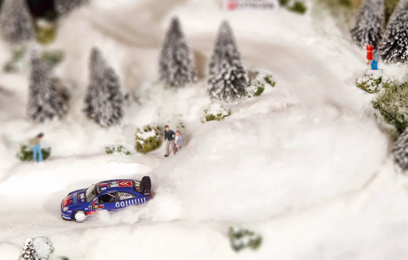 Photo wallpaper Winter, Blue, Tree, Citroen, WRC, Rally, Rally, Sebastien Loeb