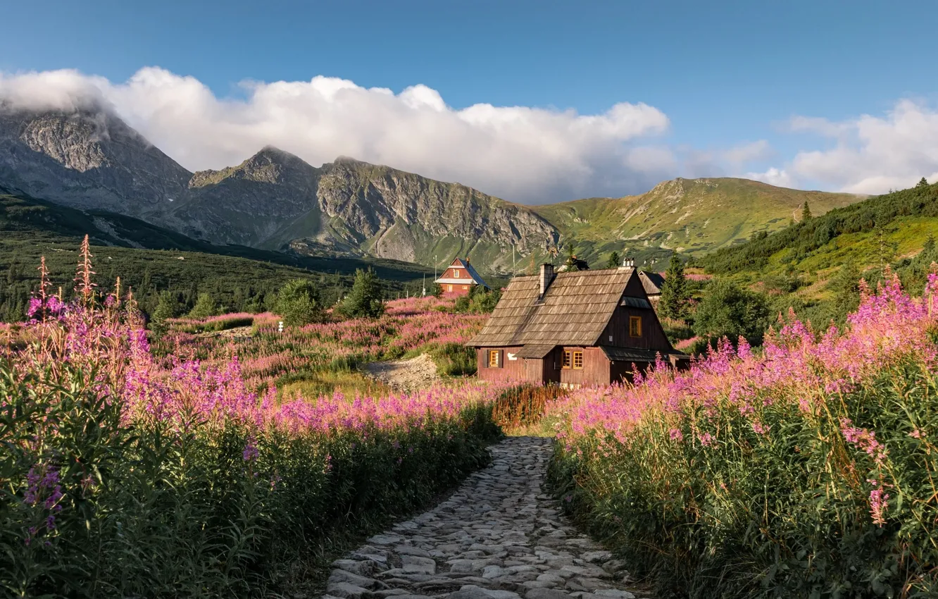 Photo wallpaper summer, flowers, mountains, Poland, house, path, Tatras, Ivan-tea