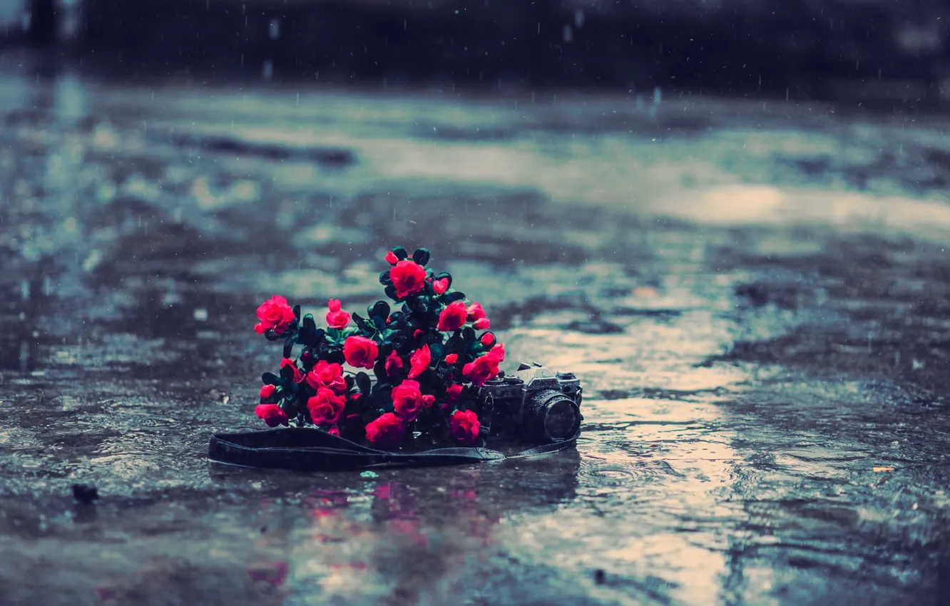 Photo wallpaper asphalt, water, flowers, red, background, rain, mood, earth