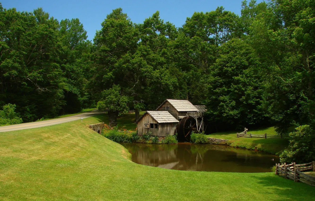 Photo wallpaper road, field, forest, the sky, grass, pond, stream, wheel