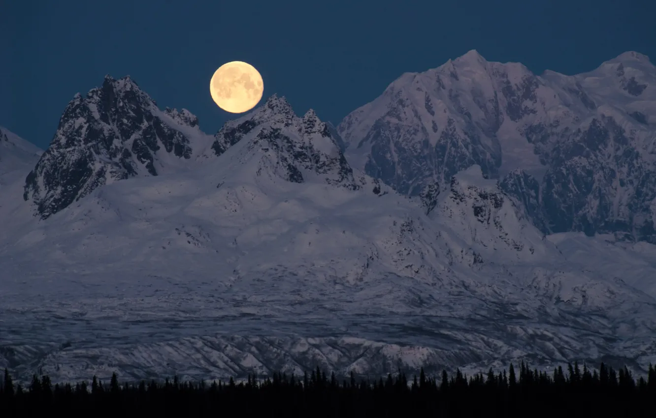 Photo wallpaper snow, trees, mountains, night, nature, rocks, the moon, the full moon
