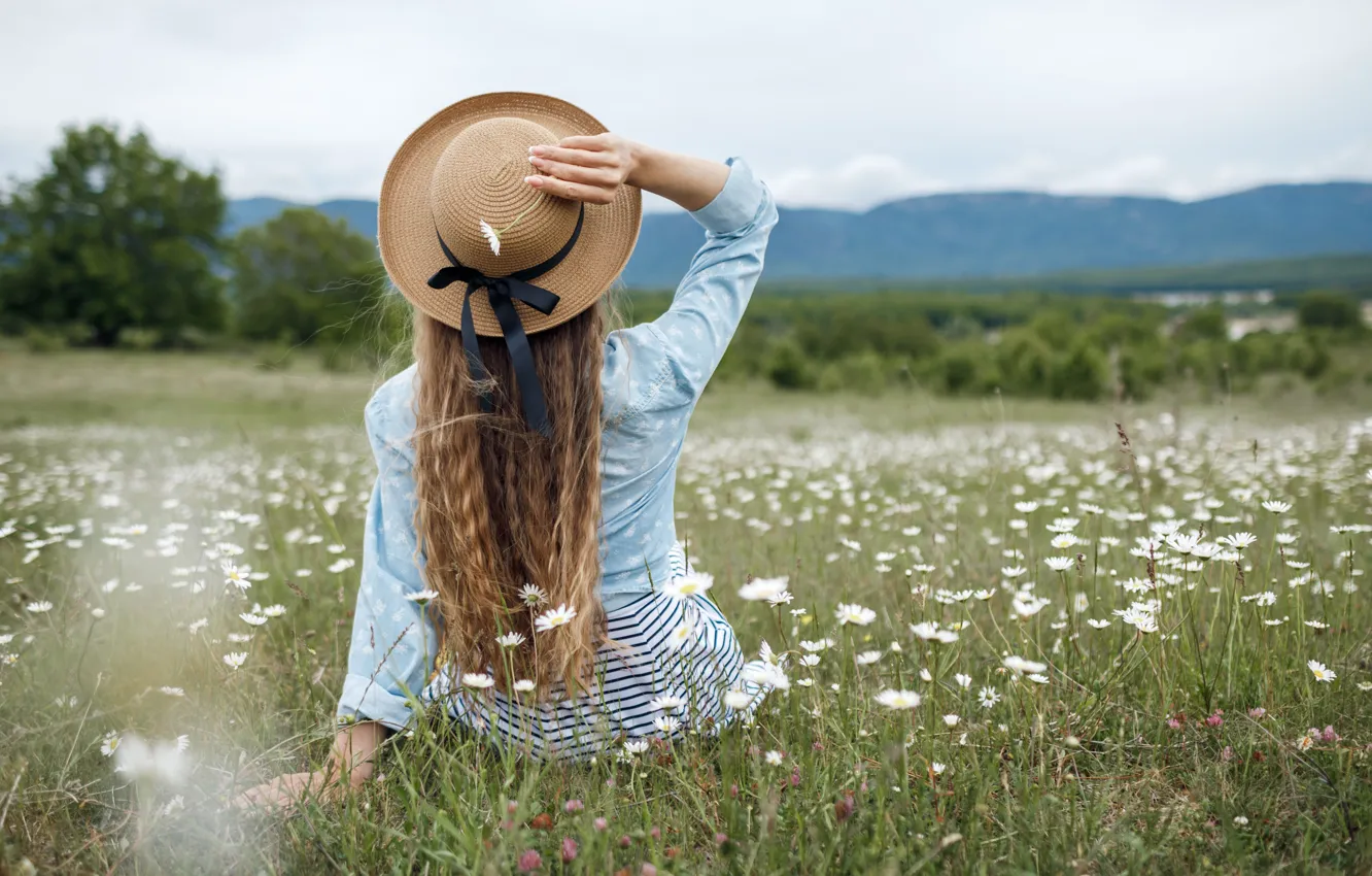 Photo wallpaper field, girl, chamomile, hat, girl