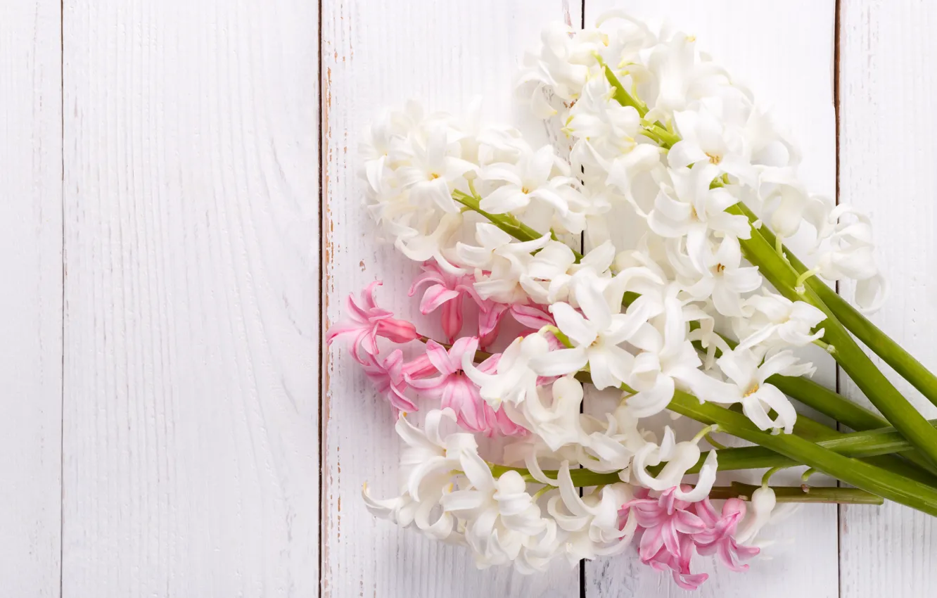 Photo wallpaper flowers, pink, bouquet, white, hyacinths, Olena Rudo