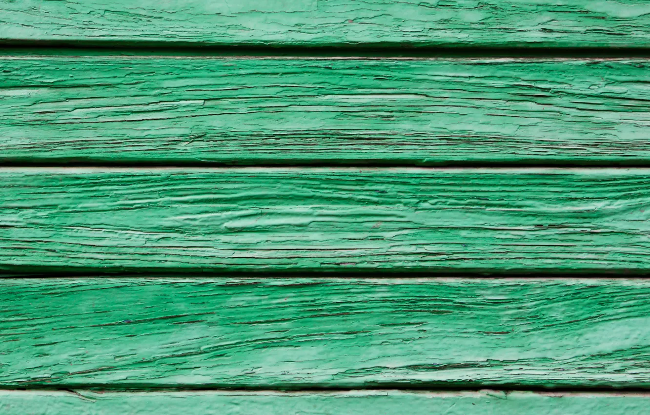 Photo wallpaper green, wood, pattern