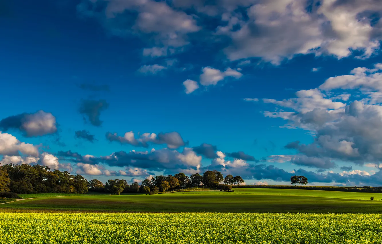 Photo wallpaper field, the sky, grass, clouds, trees, farm