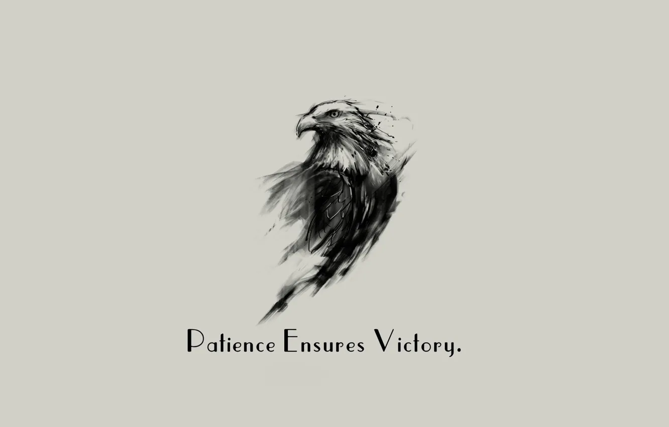 Photo wallpaper Eagle, minimalism, background, Victory, quote, Patience, simply background, Ensures