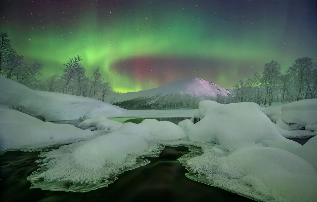 Photo wallpaper the sky, stars, night, polar lights, Khibiny, Elena Ermolina