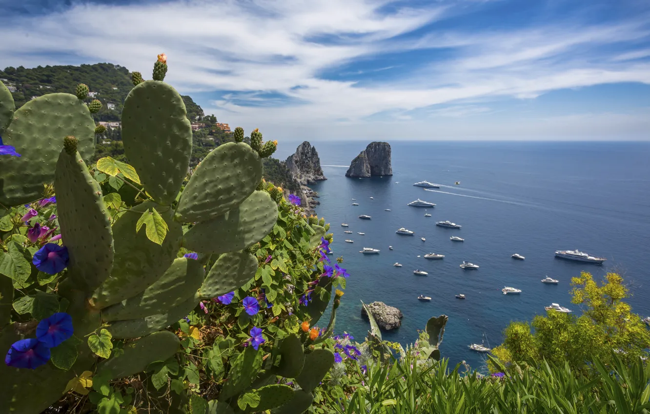 Photo wallpaper sea, landscape, nature, rocks, vegetation, island, yachts, Italy