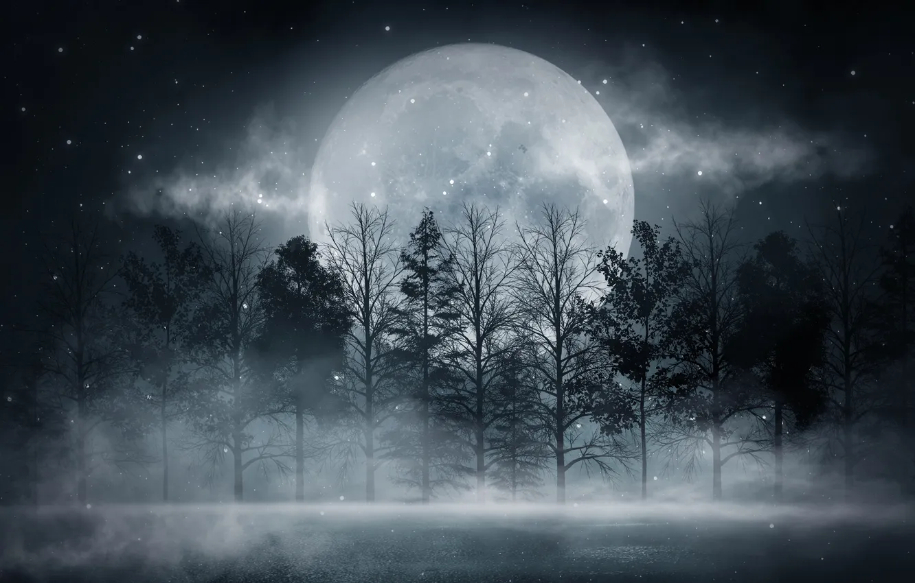 Photo wallpaper misty, nature, night, morning, outdoor, Mystery, mysterious, mystical