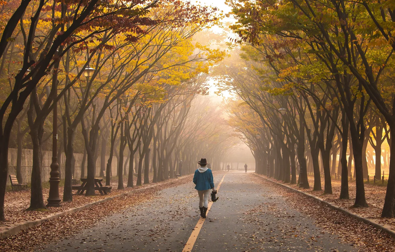 Photo wallpaper road, autumn, girl, light, trees, bench, fog, Park