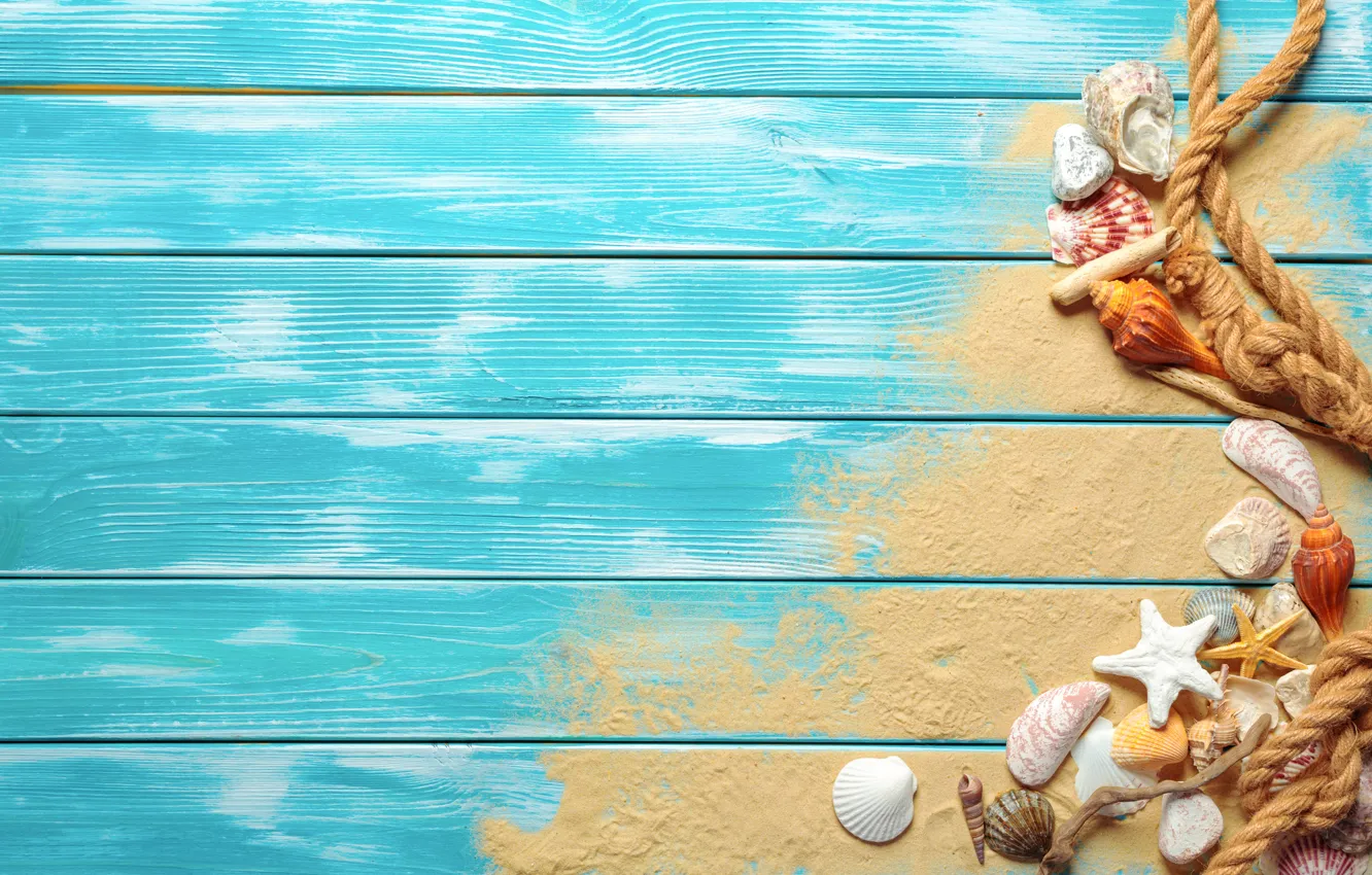 Photo wallpaper sand, beach, shell, beach, wood, sand, marine, still life
