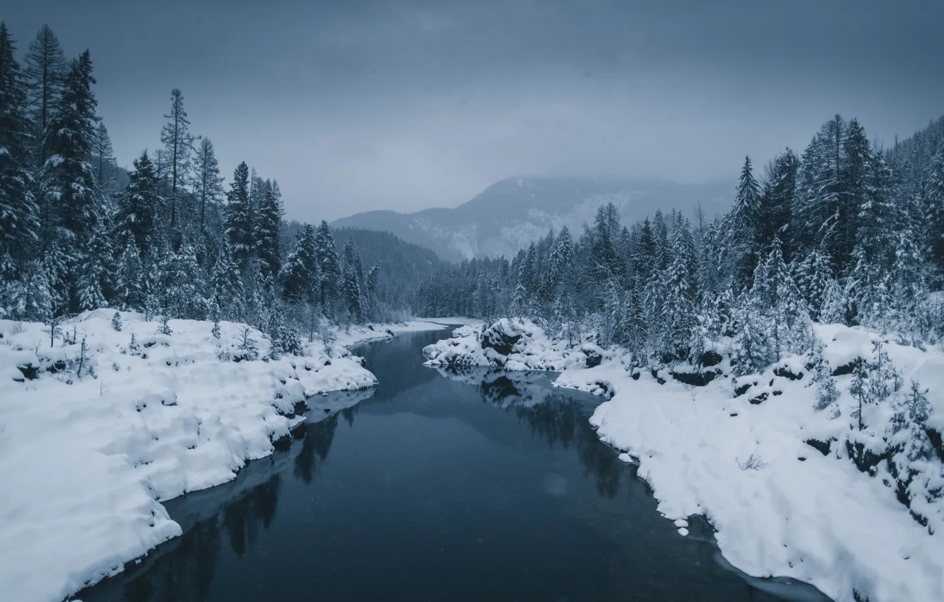 Photo wallpaper winter, forest, snow, mountains, river