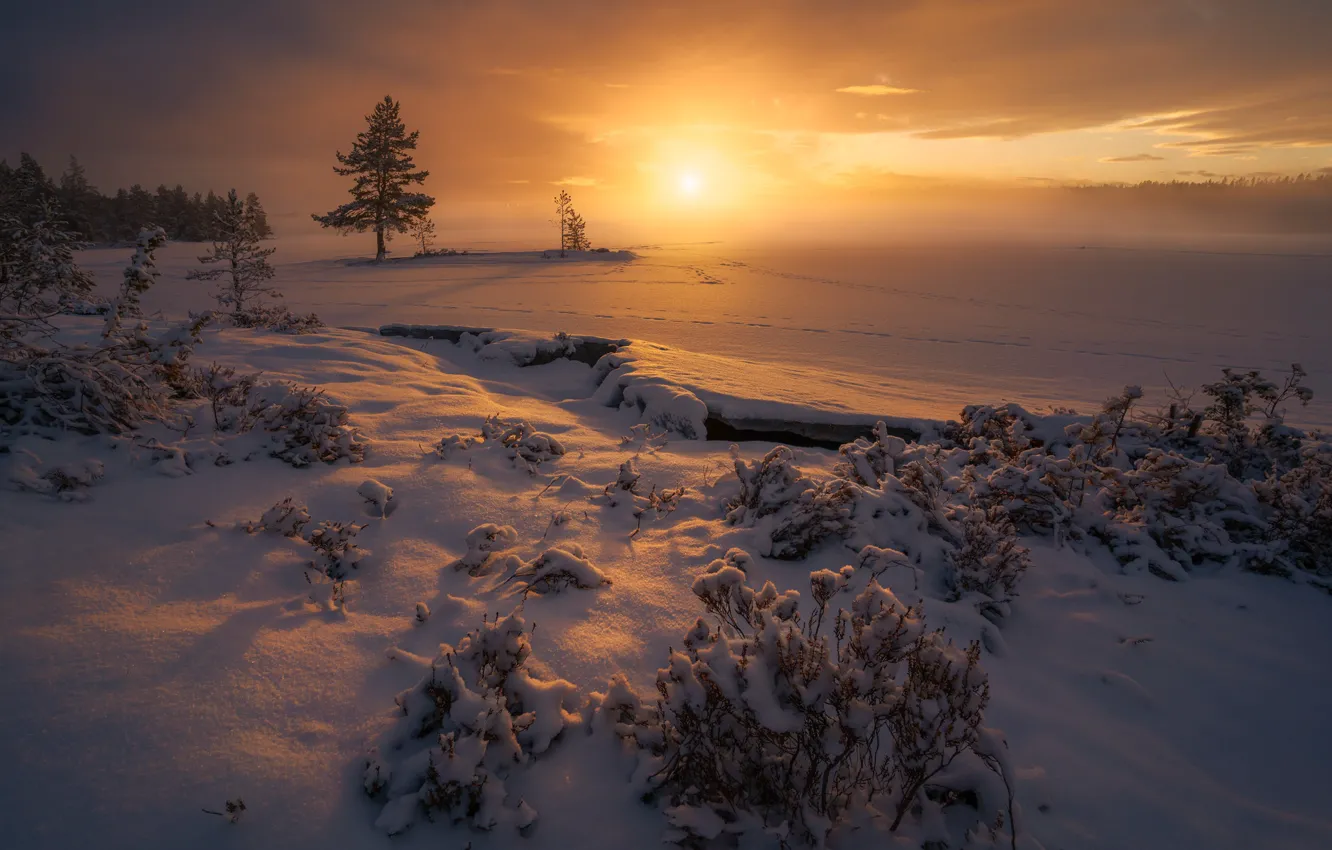 Photo wallpaper winter, field, the sky, snow, dawn, Norway, Norway, Ringerike