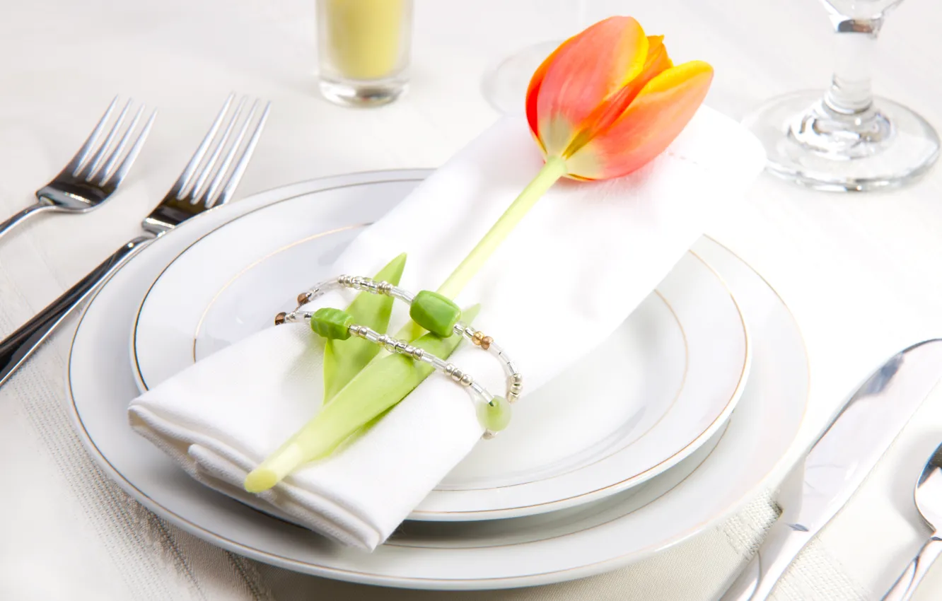 Photo wallpaper flower, Tulip, plate, napkin, serving, Cutlery