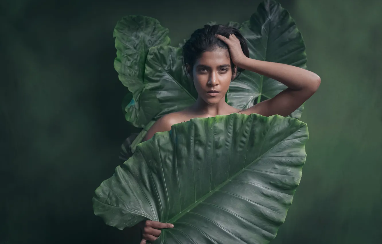 Photo wallpaper portrait, green background, art, leaves
