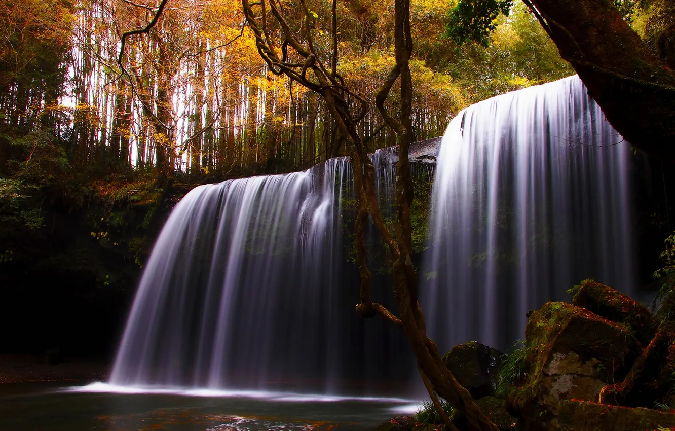 Photo wallpaper forest, landscape, nature, stones, waterfall, moss