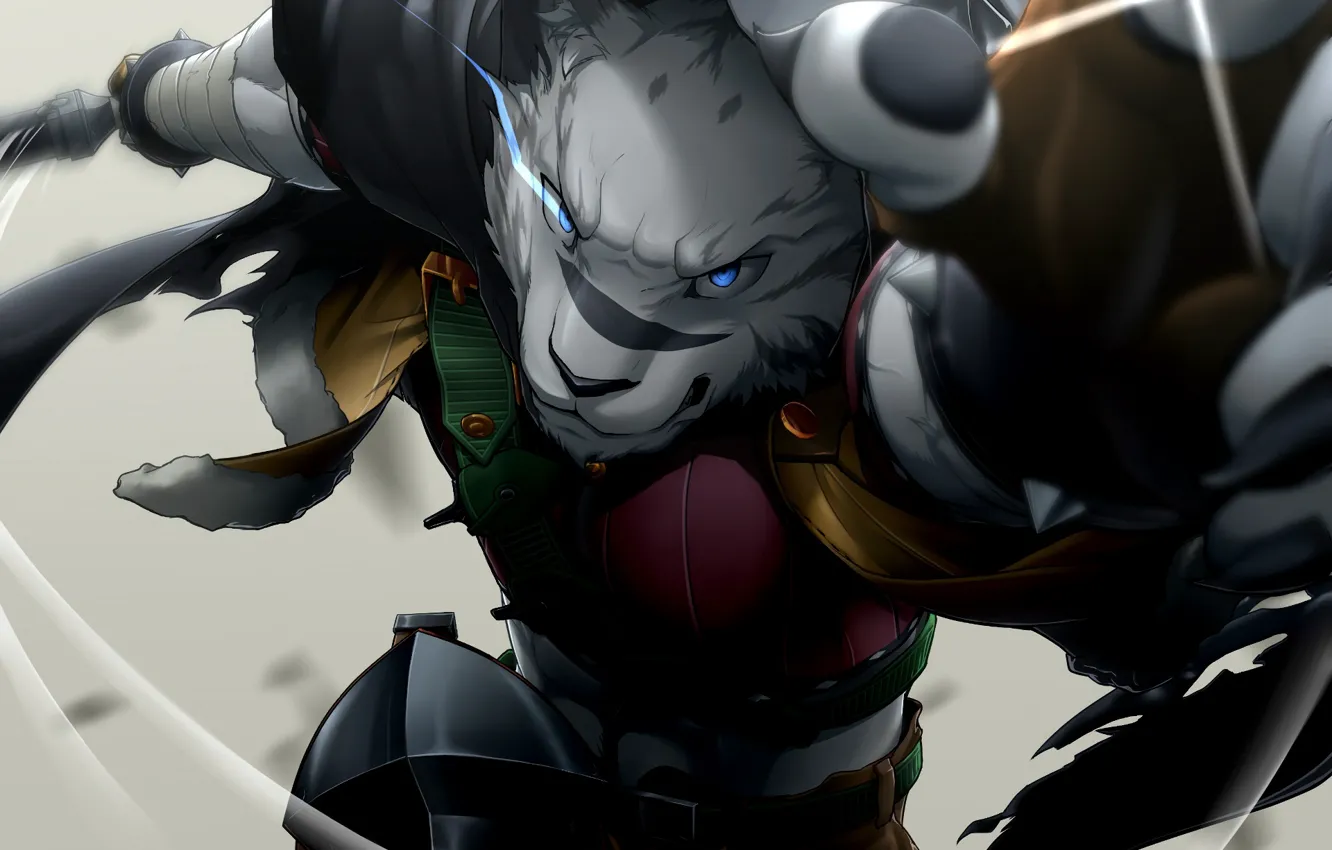 Photo wallpaper look, anime, art, beast, Grimoire Of Zero