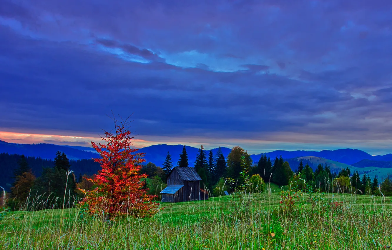Photo wallpaper autumn, the sky, clouds, trees, mountains, clouds, nature, the evening