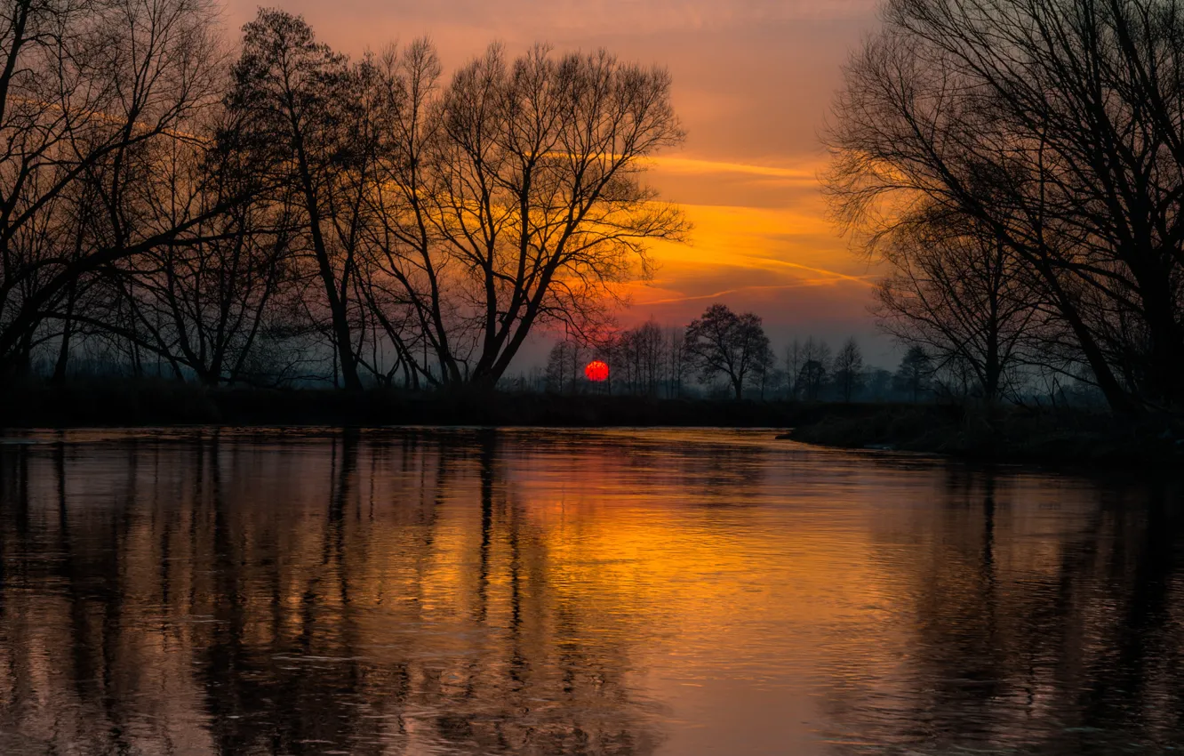 Photo wallpaper trees, sunset, reflection, river