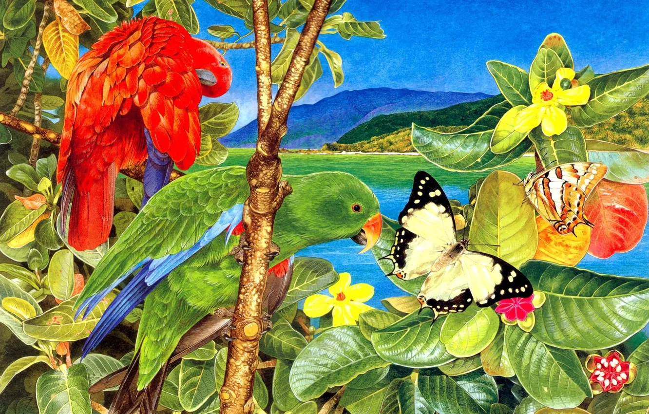 Photo wallpaper tropics, bird, parrot, Tony Oliver